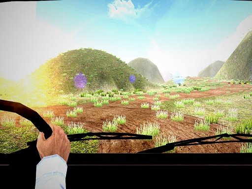 Motorista de caminhão de carga real 2025